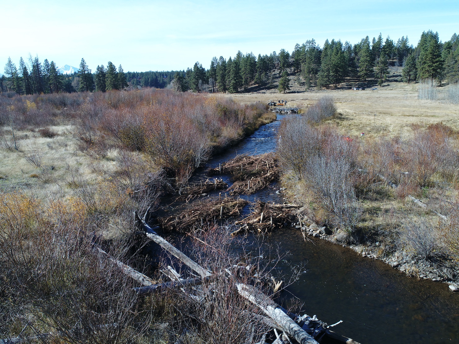 Project on Whychus Creek
