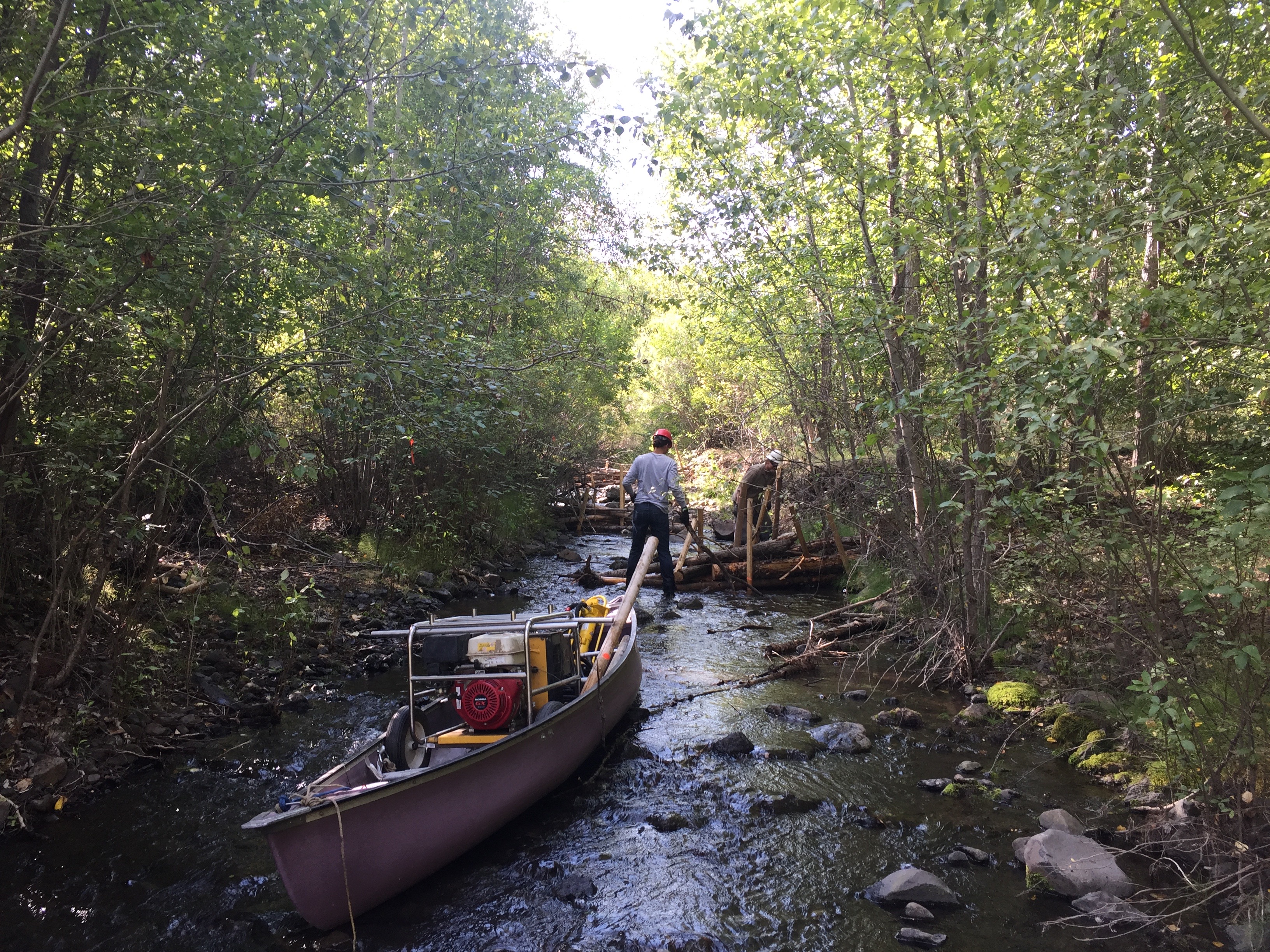 Project on South Fork Asotin Creek