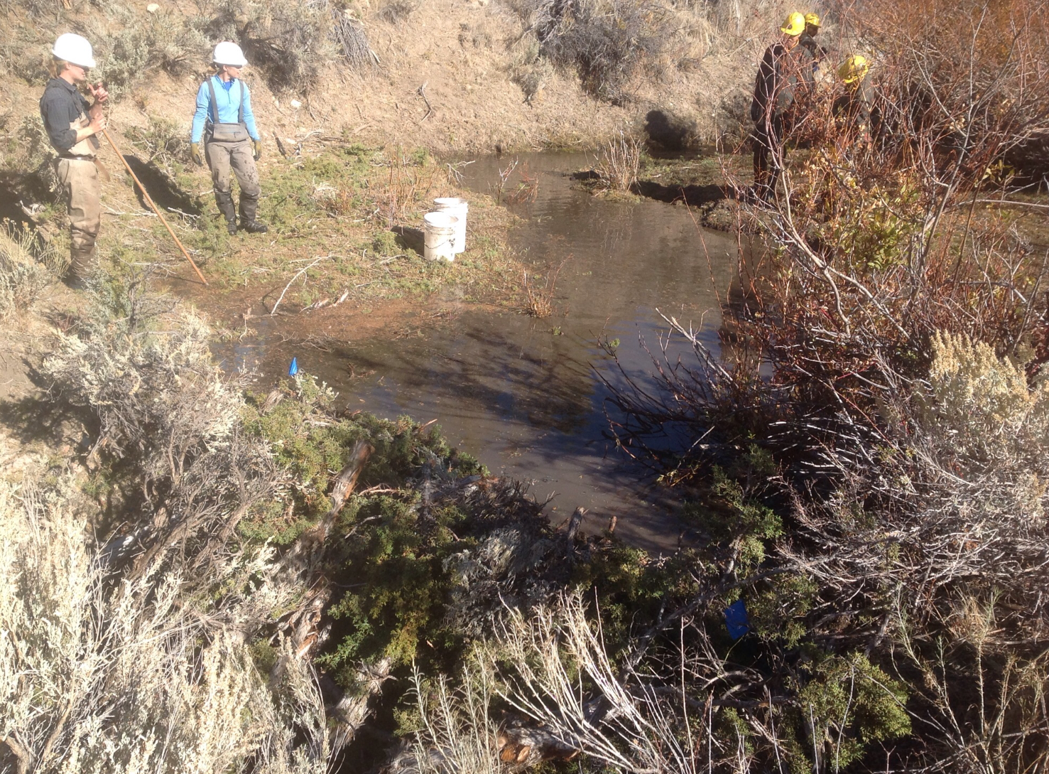 Project on Kimbell Creek