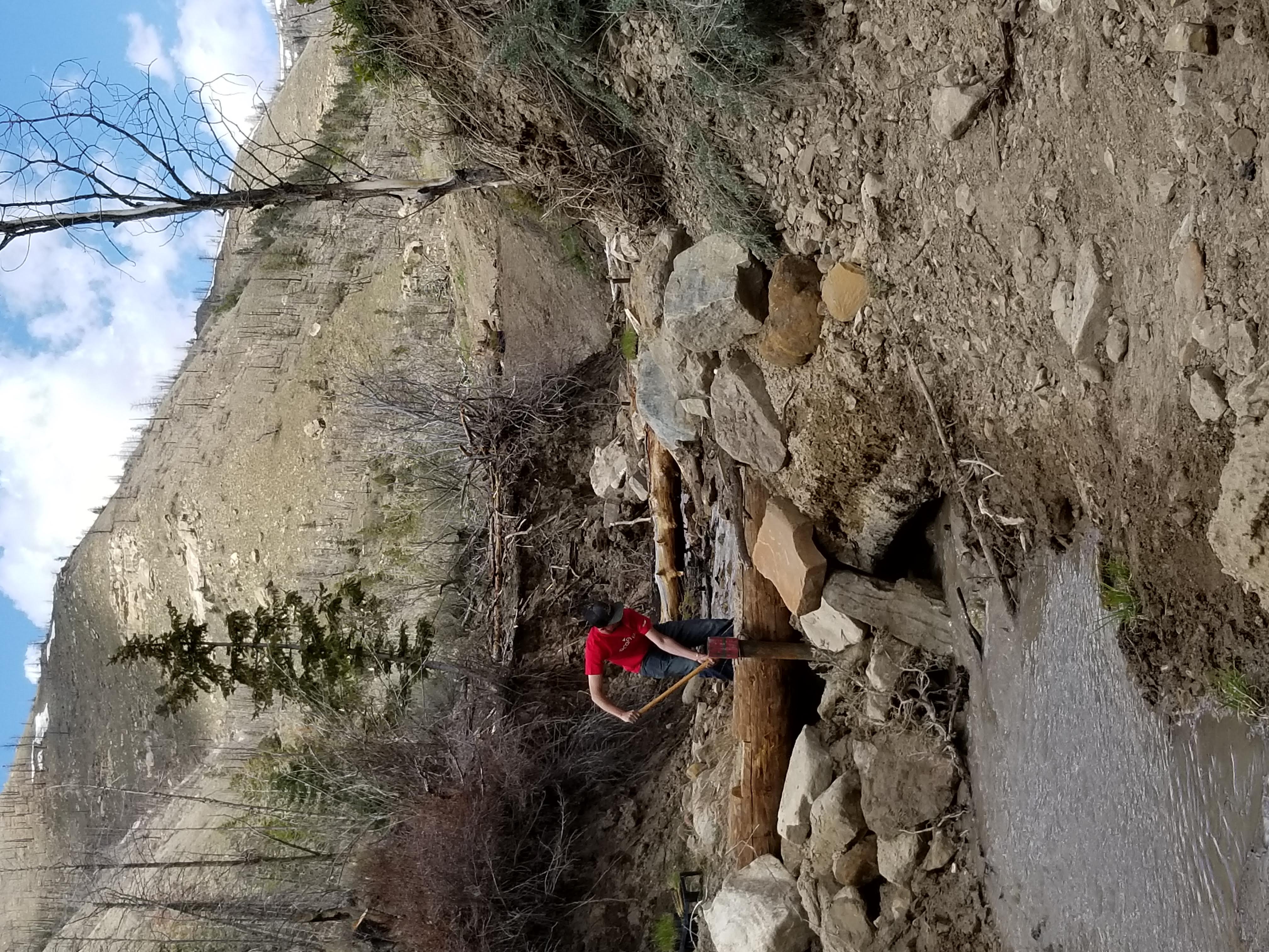 Project on Miller Creek