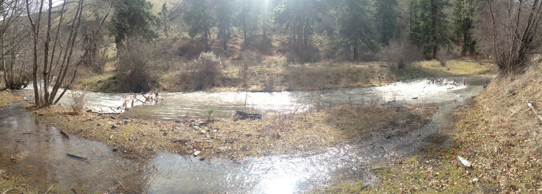 Photo of Asotin Creek Intensively Monitored Watershed