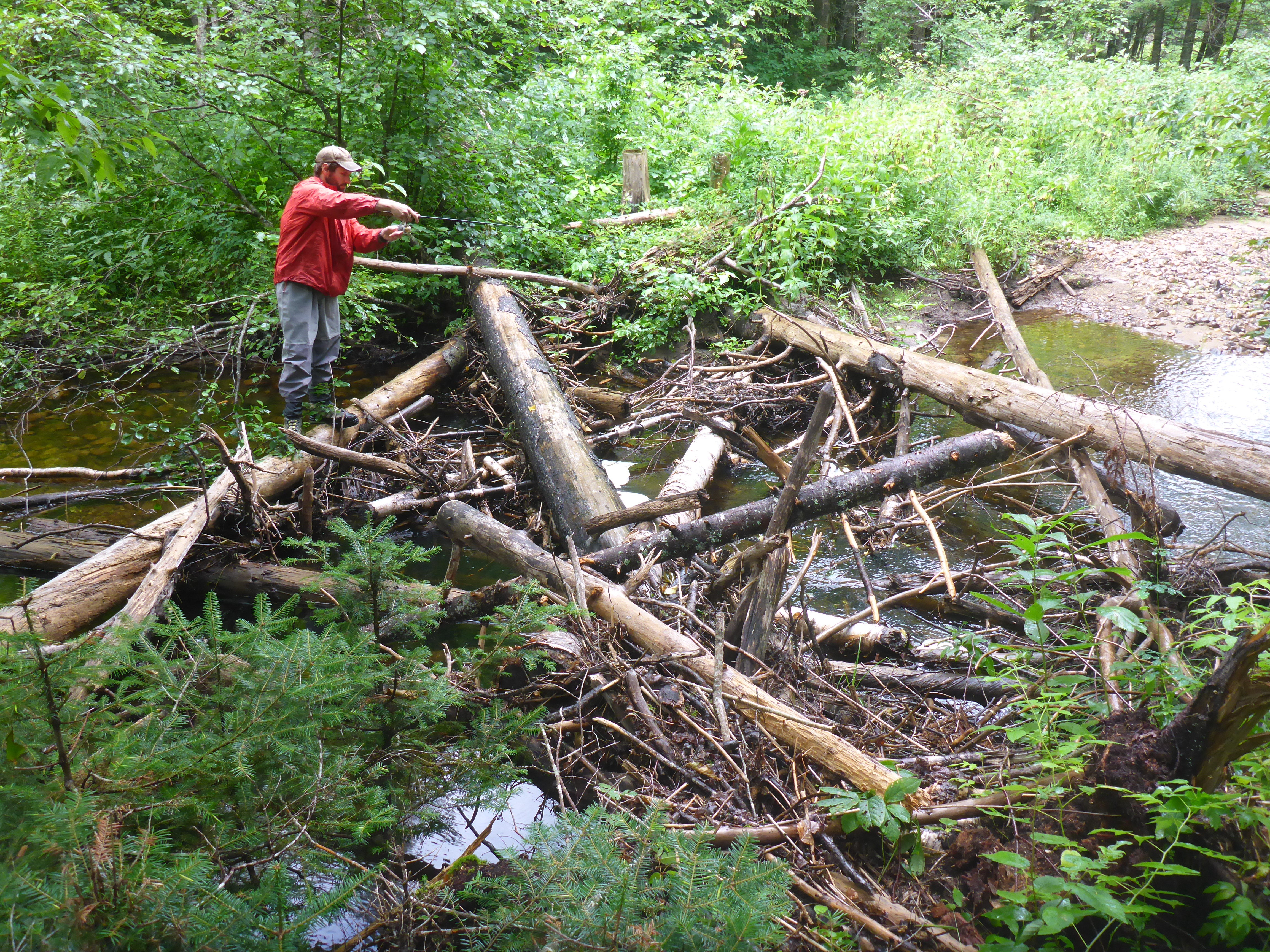 East Branch Nulhegan River Strategic Wood Addition