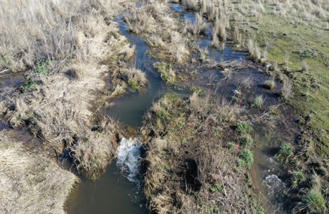 Photo of Alpowa, Deadman, and Meadow Creek Flow and Habitat Enhancement