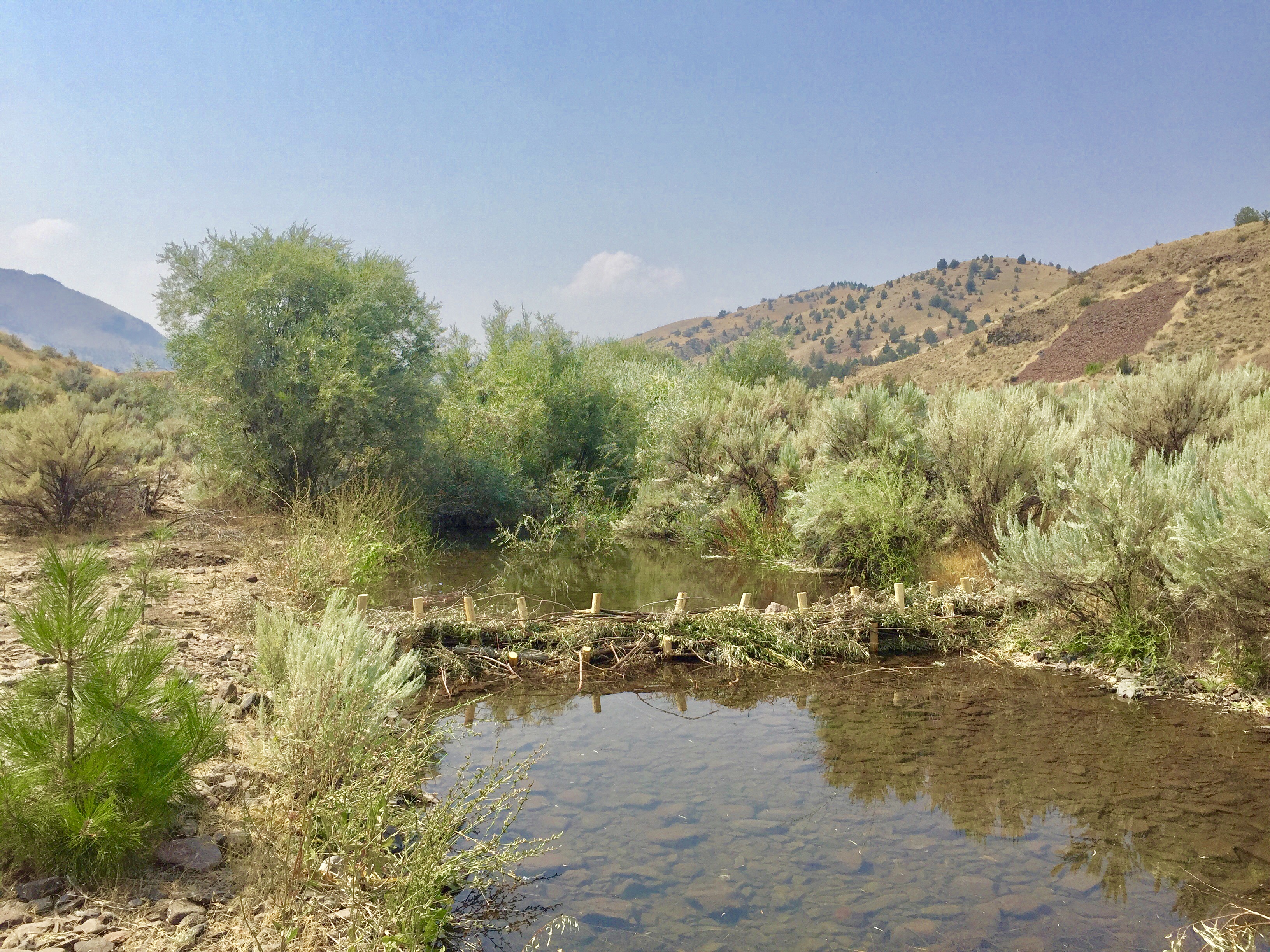 Photo of Bear Creek Habitat Enhancement