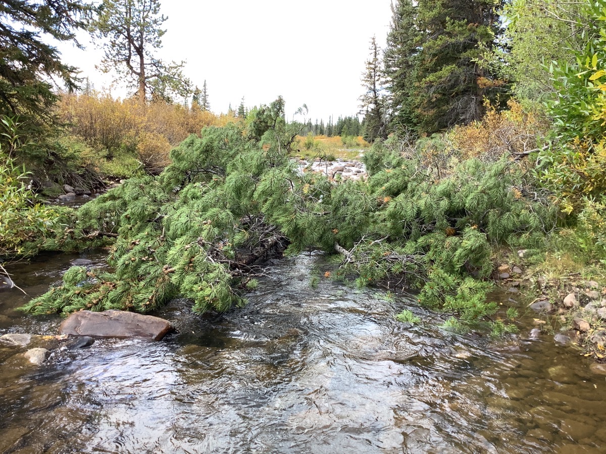 Mill Creek Utah