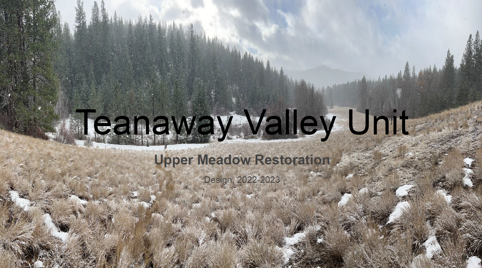 Photo of Teanaway Valley Unit, Upper Meadow Restoration