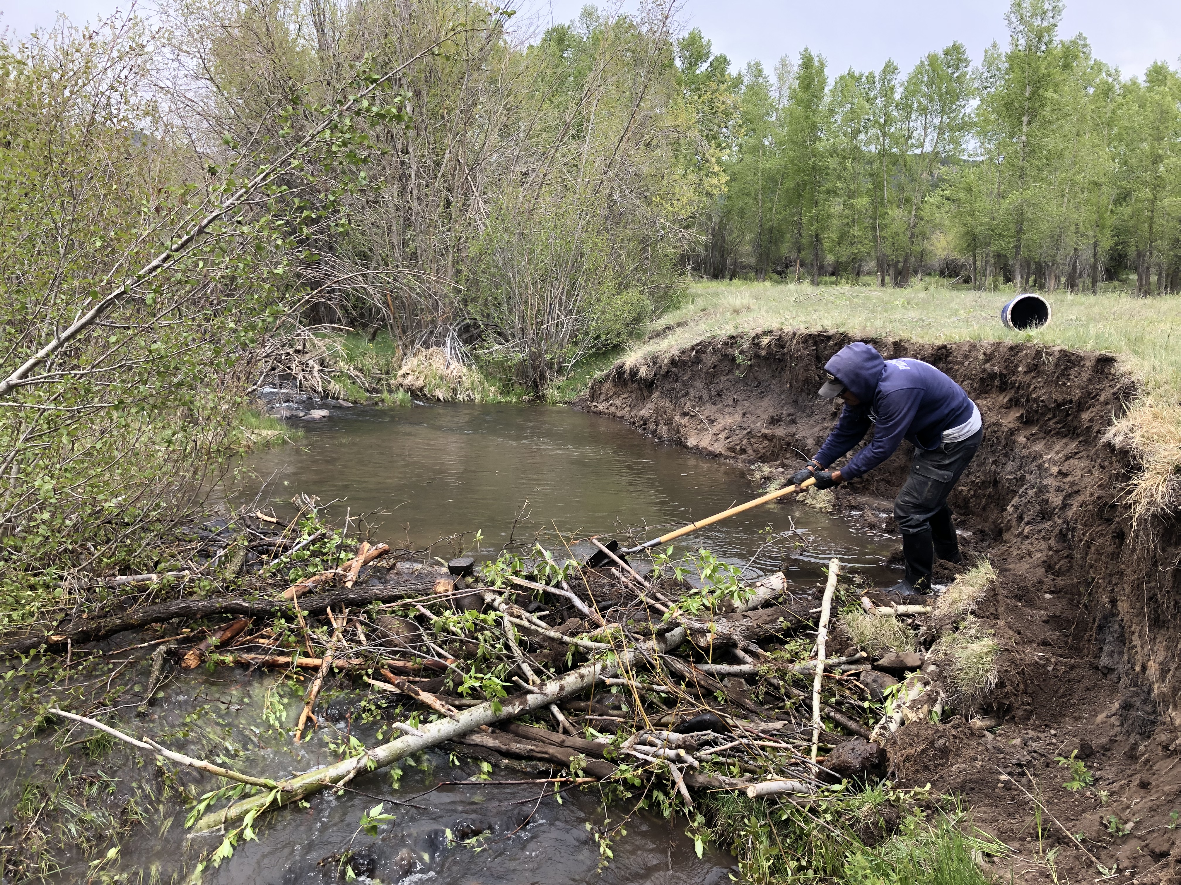 Photo of Nabor Creek Stabilization and Restoration Project