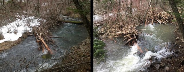 Photo of Little Tucannon River Post-Assisted Log Structures