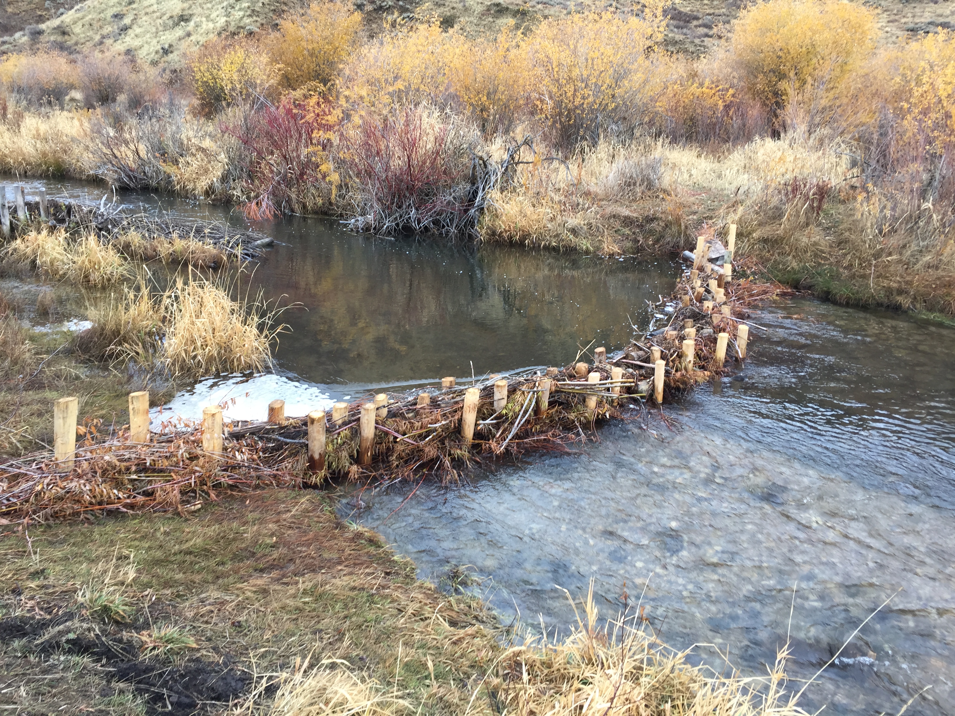 Project on East Canyon Creek