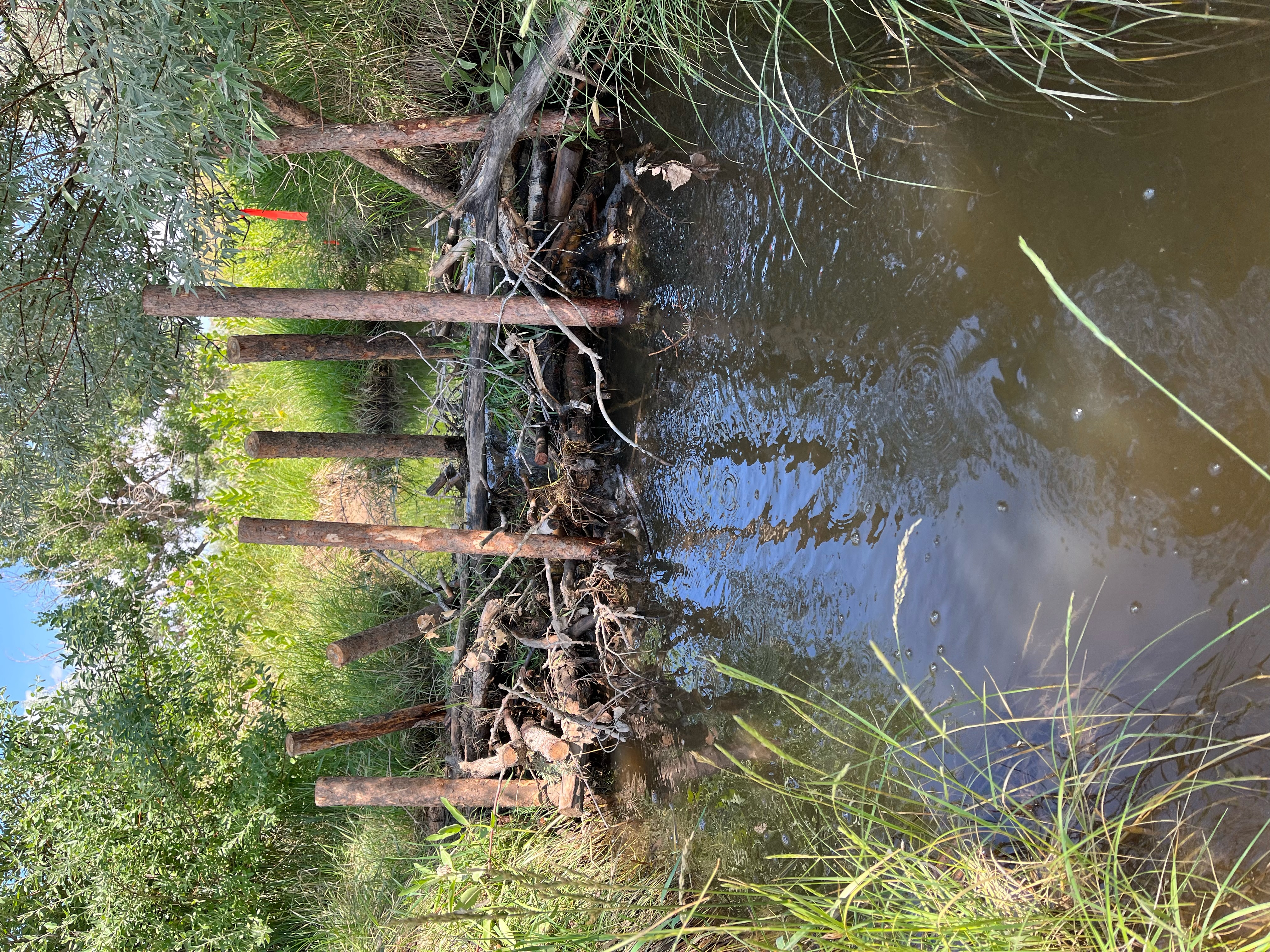 Project on Muddy Creek