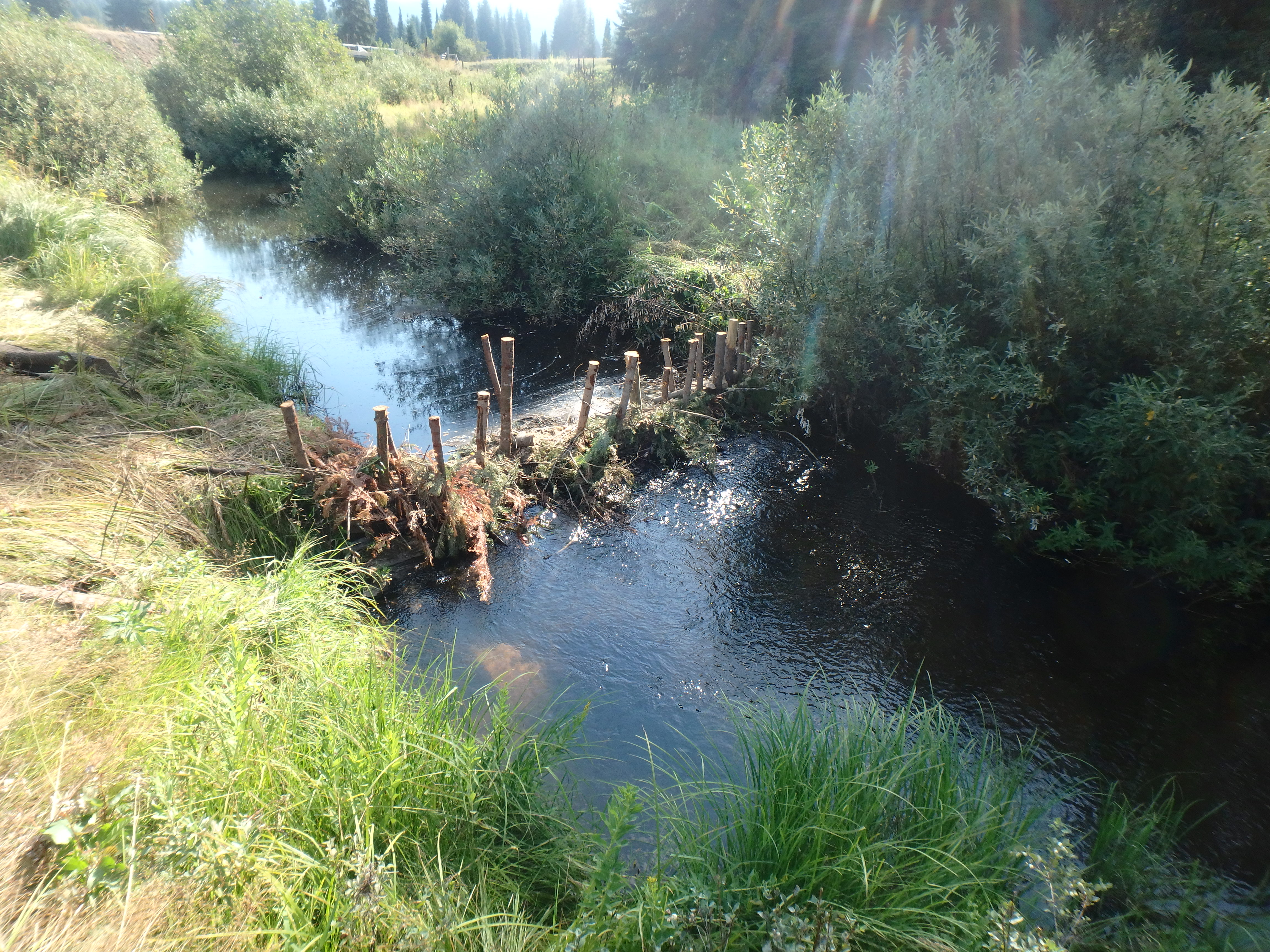 Project on Musselshell Creek