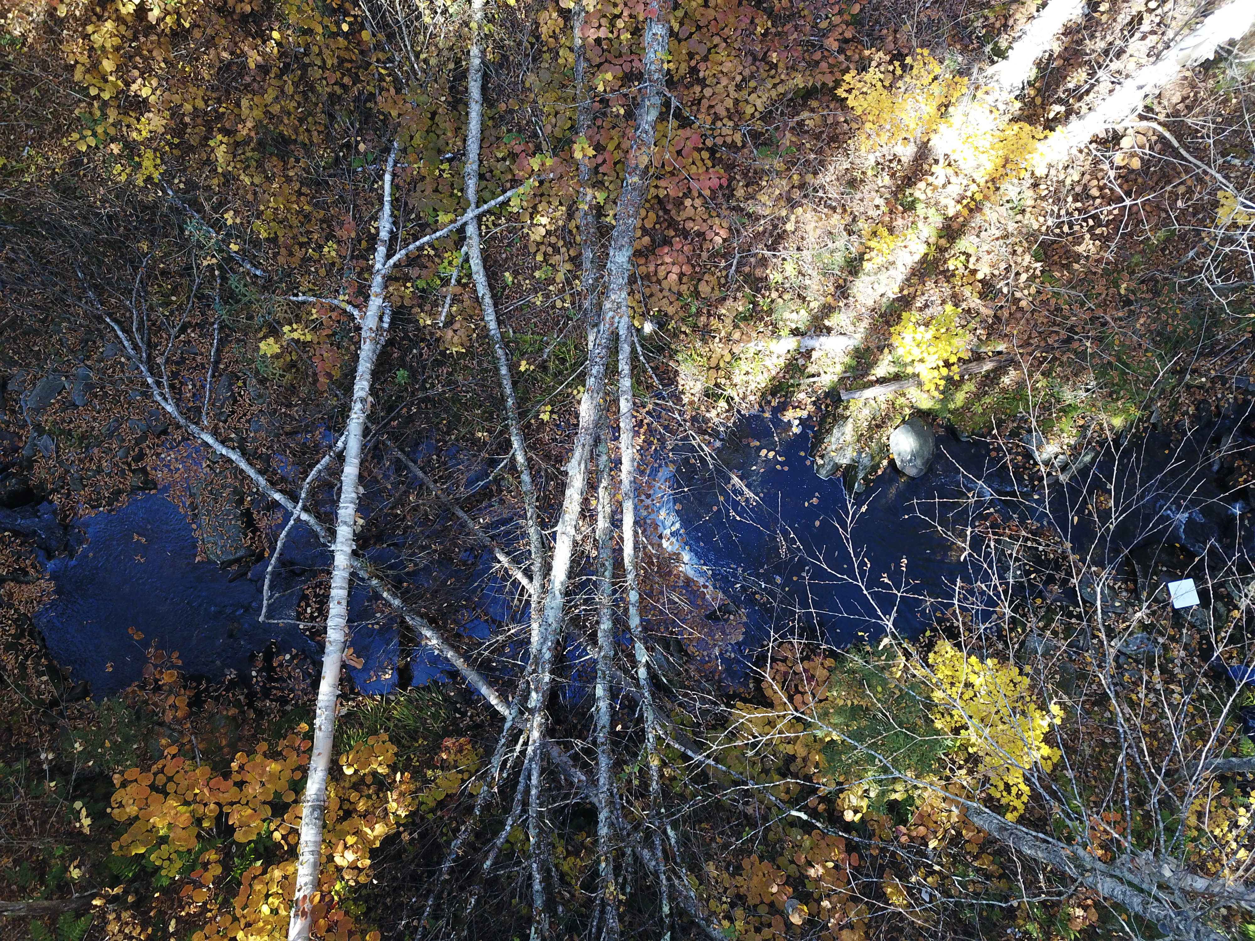 Project on Moose River branches and tributaries